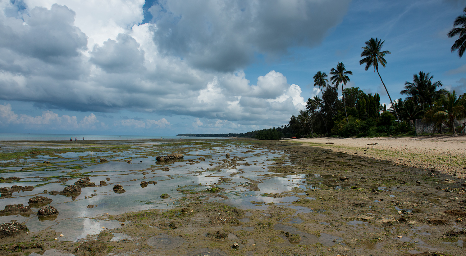 Zanzibar